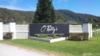 Bila liburan ke Australia, kamu bisa merasakan wisata kuliner di OReillys Vineyard. Inlah perkebunan anggur di pedalaman Gold Coast, Queensland (Melisa/detikTravel)