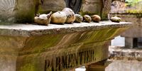 Makam Dari Abad 19 Ini Dipenuhi Kentang yang Ditinggalkan Pengunjung