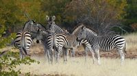 (BBC Travel)