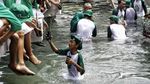 Serunya Menanam Mangrove di Pulau Pramuka