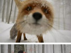 Rahasia di Balik Foto Epik yang Bikin Terperangah