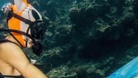 Menyelam Sambil Melukis di Dasar Laut, Siapa Bilang Nggak Bisa?