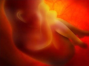 Ngaku Membuat Bayi Hasil Rekayasa Genetika, Ilmuwan China Bangga