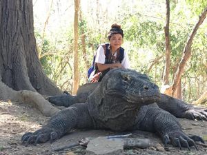 Keindahan Pulau Komodo yang Magis