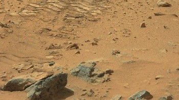 Selain Curiosity, NASA juga memiliki rover Opportunity dan yang terbaru, robot InSight. Ketiganya melakukan beragam penelitian di sana. Foto: NASA