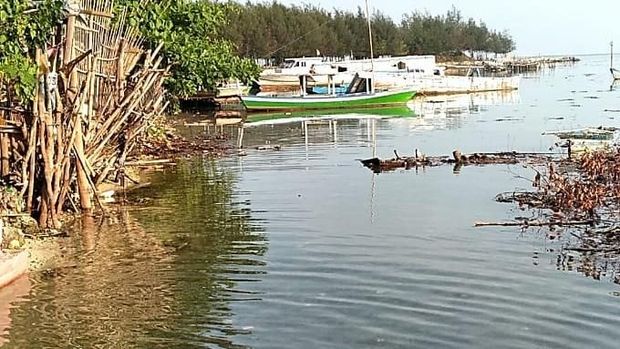 Perairan Pulau Pari pasca dibersihkan