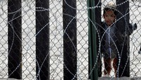 Seorang anak melihat pagar pembatas antara Meksiko dan Amerika Serikat. REUTERS/Chris Wattie.