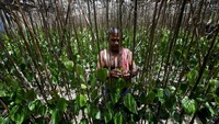 Kondisi tersebut pun menjadi perhatian warga yang tinggal di Pulau Ghoramara. Mereka pun mengatakan jika pemerintah mau memberikan rehabilitasi dan perhatian kepada mereka, warga di Pulau Ghoramara pun bersedia untuk pindah ke daratan yang lebih aman sebelum pulau kecil tersebut benar-benar tenggelam.