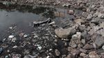 Bikin Miris, Pelabuhan Muara Baru Masih Banyak Sampah