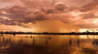 Foto: (Beverly Joubert/National Geographic Creative/BBC Travel)