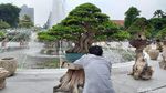 Penampakan Bonsai Rp 1 Miliar di Halaman Pemkot Surabaya