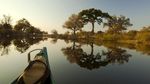 Potret Destinasi Safari Terbaik di Afrika