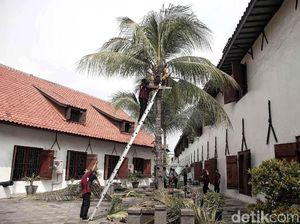 Sejarah Lahirnya VOC: Latar Belakang, Tujuan, dan Kebijakannya