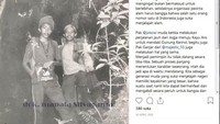 Akun sosial media Instagram Mapala UGM beberapa kali memposting foto-foto masa lalu Presiden Jokowi saat menjadi anggota Mapala UGM. Istimewa/Dok. Instagram Mapala Silvagama.