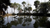 Pulau Ghoramara merupakan sebuah pulau kecil yang berada di wilayah India. Pulau ini menjadi sorotan karena kondisinya yang terus mengecil karena terendam air.