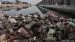 Bikin Miris, Pelabuhan Muara Baru Masih Banyak Sampah