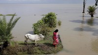 Kondisi memprihatinkan Pulau Ghoramara ini sesungguhnya telah diperingatkan oleh para ilmuwan dari Universitas Jadavpur di Calcutta, India. Menurut mereka peningkatan air laut di Teluk Benggala telah terjadi sejak beberapa dekade lalu dan mengancam hilangnya sejumlah pulau di daerah tersebut.