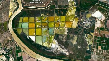 Sebuah perusahaan bernama Merlin Burrows menggunakan data satelit untuk menyisir area yang dipercaya timnya menjadi lokasi dari Atlantis. Foto: NASA