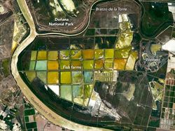 Deretan Negara yang Dikira Lokasi Atlantis, Ada Indonesia!