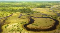 Tempat Safari Paling Dahsyat di Afrika: Botswana