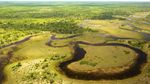 Potret Destinasi Safari Terbaik di Afrika