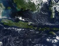 Ilustrasi laut 