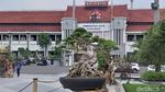 Penampakan Bonsai Rp 1 Miliar di Halaman Pemkot Surabaya