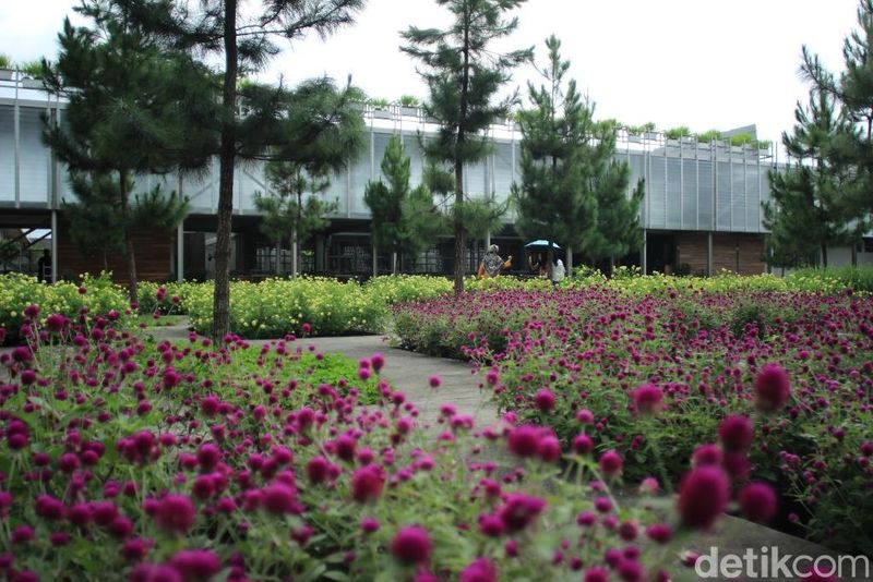 Tempat wisata edukasi di Tawangmangu