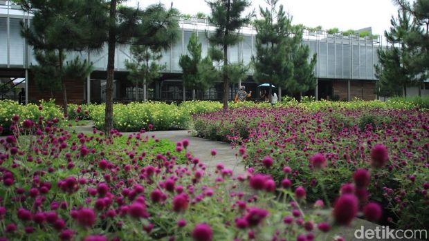 Ganjar Pranowo Pamer Wisata Instagrammable di Karanganyar