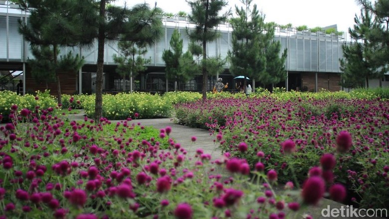 Tempat Wisata Instagramable Di Tawangmangu Ini Dulunya Pabrik Tempat Wisata Instagramable Di Tawangmangu Ini Dulunya Pabrik