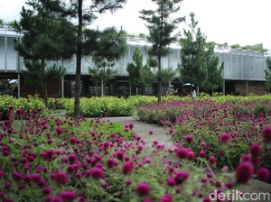 Tempat Wisata Instagramable di Tawangmangu Ini Dulunya Pabrik