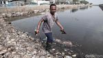 Bikin Miris, Pelabuhan Muara Baru Masih Banyak Sampah