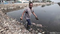 Seorang warga tengah membersihkan sampah-sampah yang tersebar di pelabuhan itu.