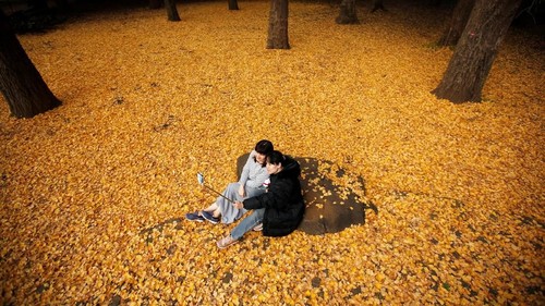 Daun dan bunga mulai berguguran di taman-taman kota Jepang. Hal itu menandakan musim gugur telah tiba di kota Matahari terbit itu. Seperti apa penampakannya?