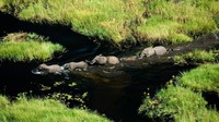 Foto: (Beverly Joubert/National Geographic Creative/BBC Travel)