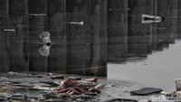 Menurutnya saat ini kesadaran warga akan bahaya sampah laut semakin minim karena tingkat kepedulian terhadap lingkungan yang acuh.