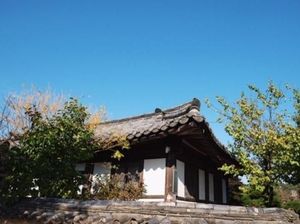 Main ke Andong, Desa Tradisional di Korea