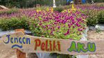 Foto: Taman Bunga Cantik Bak di Eropa, Padahal di Yogya