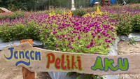 Ada imbauan dilarang memetik bunga di taman ini. Harus dipatuhi ya traveler. Kalau bukan kita yang menjaga, siapa lagi? (Pradito/detikTravel)
