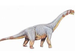 10 Dinosaurus Terbesar yang Pernah Hidup di Muka Bumi