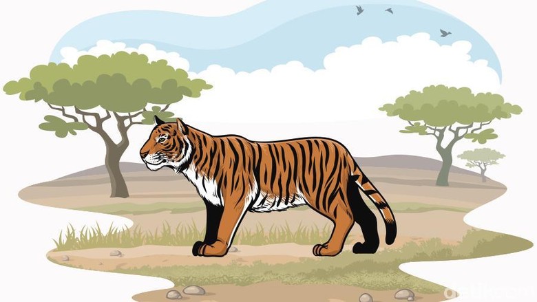 KLHK Harap Vonis untuk Pembunuh Harimau Seperti di Riau Maksimal
