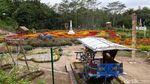 Foto: Taman Bunga Cantik Bak di Eropa, Padahal di Yogya