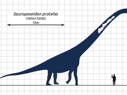 10 Dinosaurus Terbesar yang Pernah Hidup di Muka Bumi