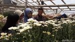 Foto: 6 Destinasi Instagramable dari Semarang