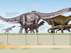 10 Dinosaurus Terbesar yang Pernah Hidup di Muka Bumi