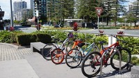 Cara paling tepat untuk menikmati garis pantai Gold Coast yang panjang yaitu dengan gowes sepeda. Harganya mulai dari 25 AUD sampai 30 AUD atau Rp 250 sampai Rp 300 ribu. (Melisa/detikTravel)