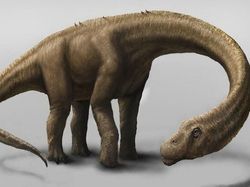 10 Dinosaurus Terbesar yang Pernah Hidup di Muka Bumi