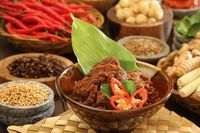 Ini Resep  Asli Rendang  Padang  dan Ragam Jenis Rendang 