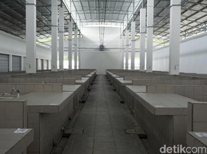 Tempat Lelang Ikan Labuan Bajo Bisa Seperti Pasar Tsukiji Nggak Ya?