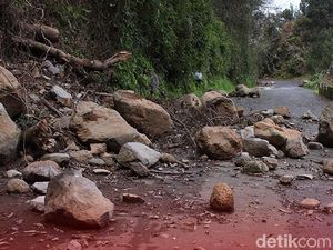 BPBD Palopo Ungkap Akses ke Toraja Lumpuh gegara Longsor 3 Titik